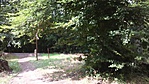 20160723_123021