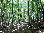 IMG_1601