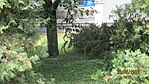 IMG_3808