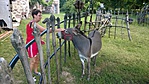 WP_20160709_024[1]