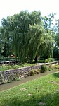 WP_20160701_015