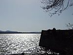 DSCF0411