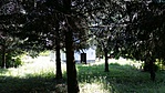 2016-07-13 12.17.29