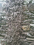 20160720_131124