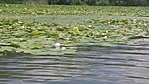 20160727_135957