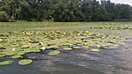 20160727_140059 (2)