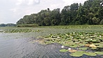 20160727_140210 (2)