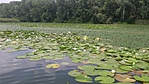 20160727_140820