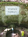 A forrás