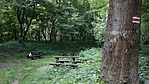 SAM_4693R
