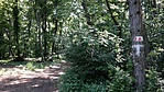 SAM_4650R
