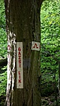 SAM_4701R