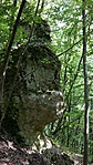 SAM_4683R