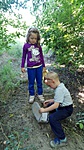 IMG_20160704_094934