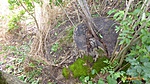 P1180471