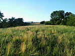 20160707_191403_2