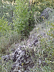 20160707_191740_2