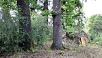 IMG_20160802_153212