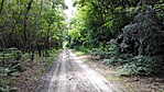 IMG_20160802_152108