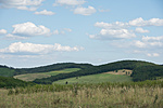 _DSC4370