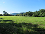 IMG_2551