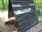 IMG_2557