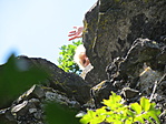 IMG_2585