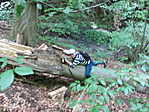 IMG_2612