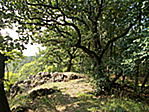 31307_20160820_181124_4cbfc29ae28e9eefeebb67f07a2f62851d9b4137