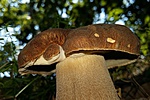 20160805_143930