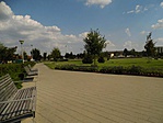 a parkban