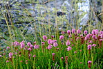 DSCF0545