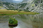 DSCF0553