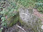 P8130047