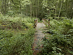 P8220407