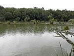 P8220411
