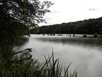P8220413