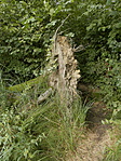 P8220414