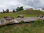 20160811_152110