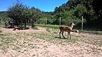 WP_20160807_12_41_41_Pro