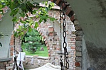 IMG_9445