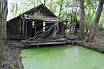 _IMG_9478