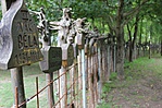 IMG_9458