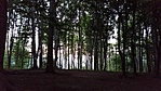 20160824_194601