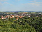 DSC06051