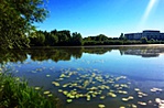 gcmarc-IMG_1586