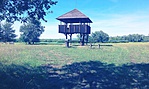 IMAG7748