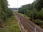DSC06131