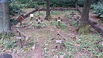 20160726_063726
