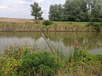 IMG_7047